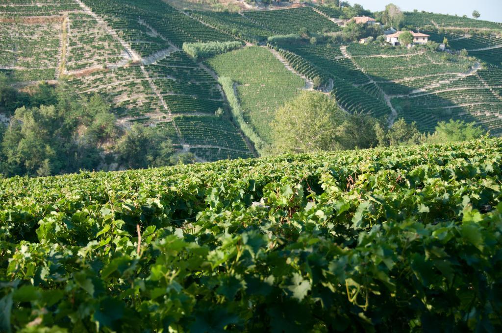 Cadgal - Tenuta Valdivilla Santo Stefano Belbo Exteriér fotografie